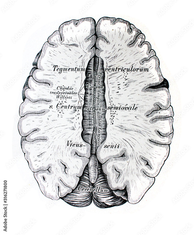 image to crop