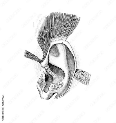 image to crop