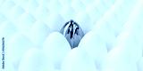 preview cold