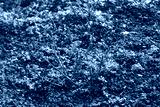 preview cold