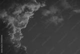 preview bw
