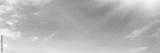 preview bw