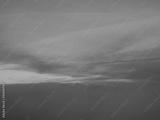 preview bw