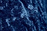 preview cold