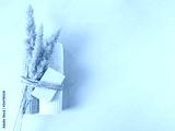preview cold