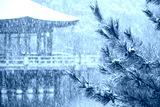 preview cold