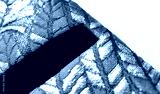 preview cold
