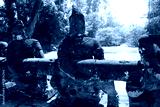 preview cold