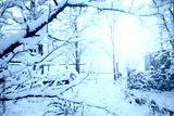 preview cold