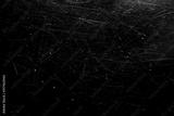 preview bw