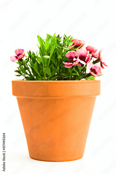 image to crop