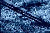 preview cold