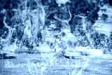 preview cold