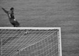 preview bw