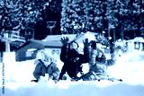 preview cold