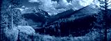 preview cold