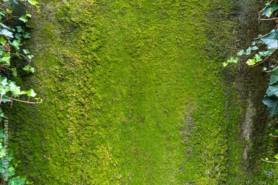 image to crop