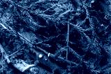 preview cold
