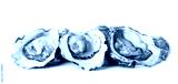 preview cold