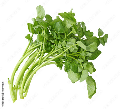 image to crop