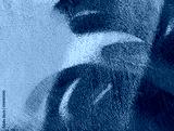 preview cold