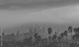 preview bw