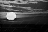 preview bw