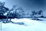 preview cold