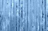 preview cold