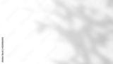 preview bw
