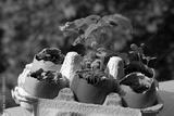 preview bw
