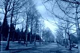 preview cold