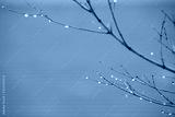 preview cold