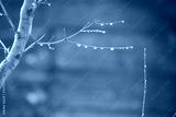 preview cold