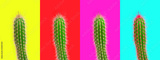 preview original