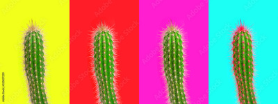 image to crop