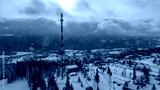 preview cold