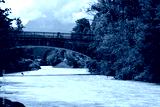 preview cold