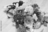 preview bw