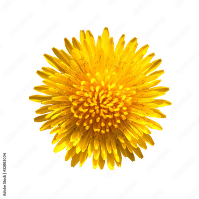 image to crop