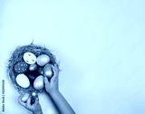 preview cold