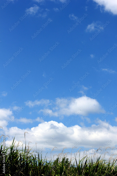 image to crop