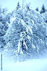 preview cold