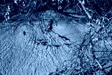 preview cold