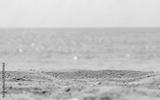 preview bw