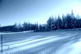 preview cold