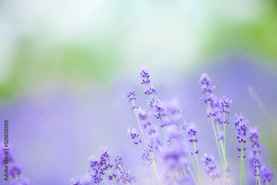 image to crop