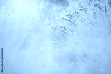 preview cold