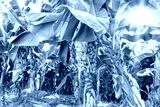preview cold