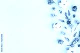 preview cold